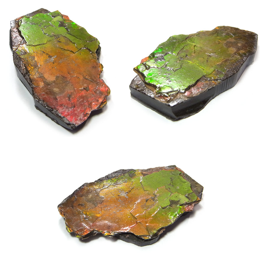 アンモライト(Ammolite)